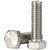 Screw 1/4-20  x 1 in  SS Hex Cap