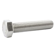 Screw 1/4-20  x 2 in  SS Hex Cap